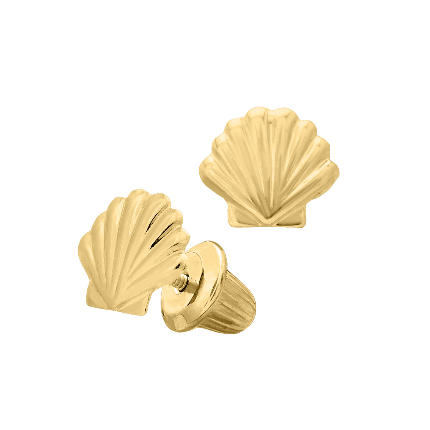 Sea Shell Stud Earrings - SHOPKURY.COM